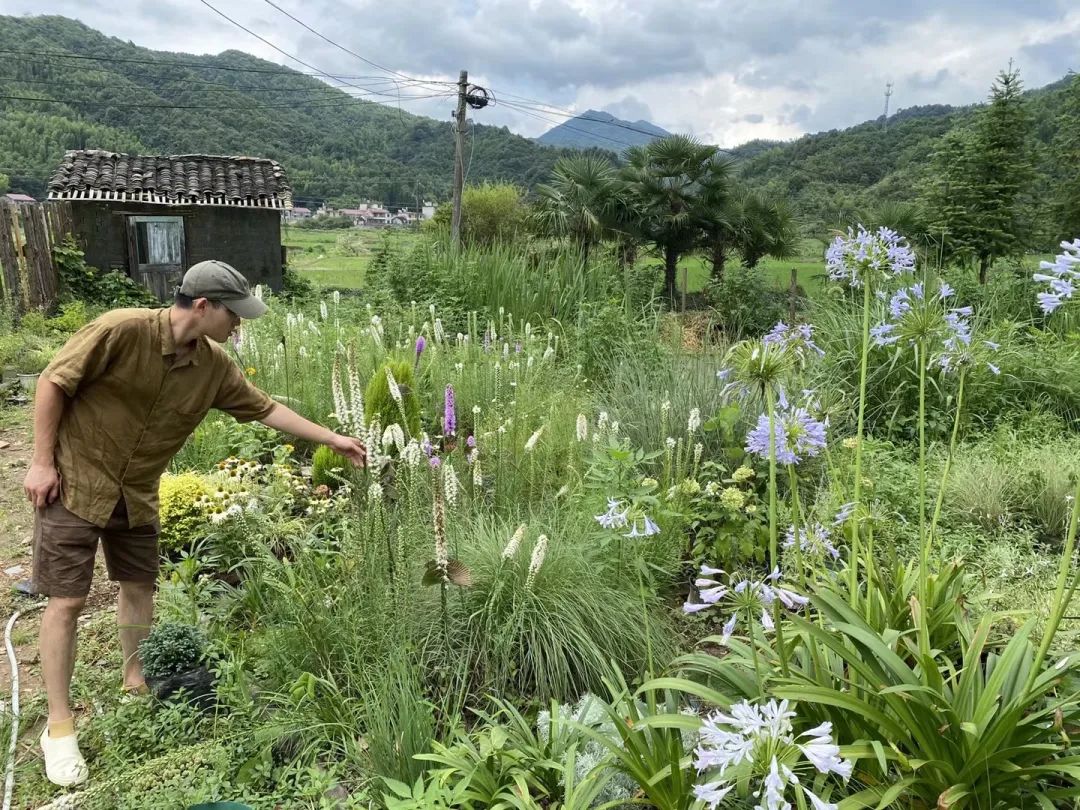90后男孩住进郊区老屋，徒手打造400㎡自然花园，里面装满小精灵