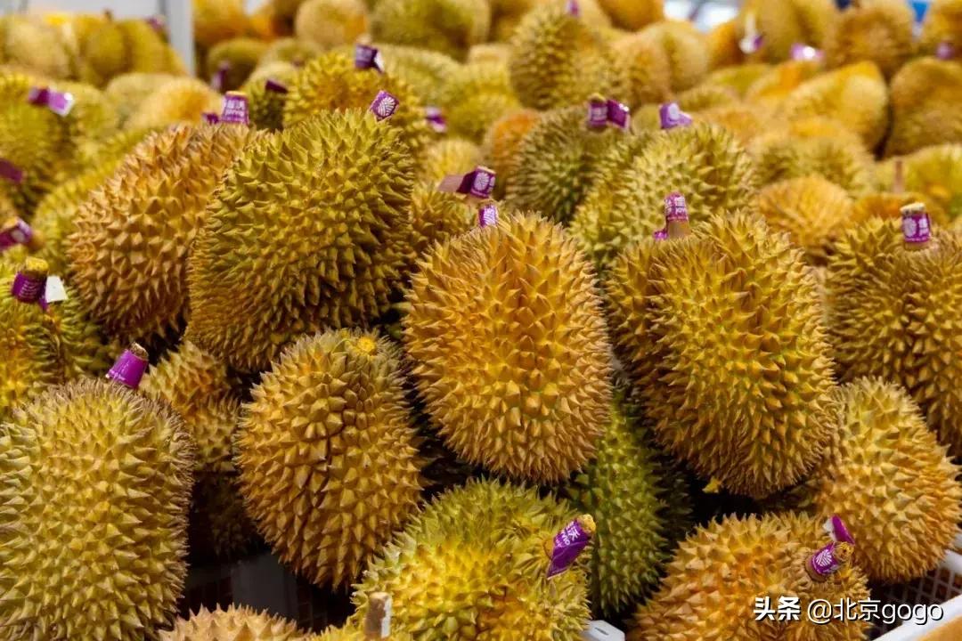 赞不绝口的高品质！这座硬核建筑物集好吃+好玩+好逛于一身