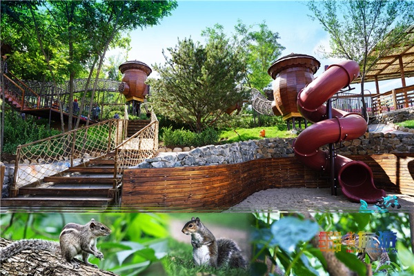 北京密云冬天游玩攻略,北京密云冬季游