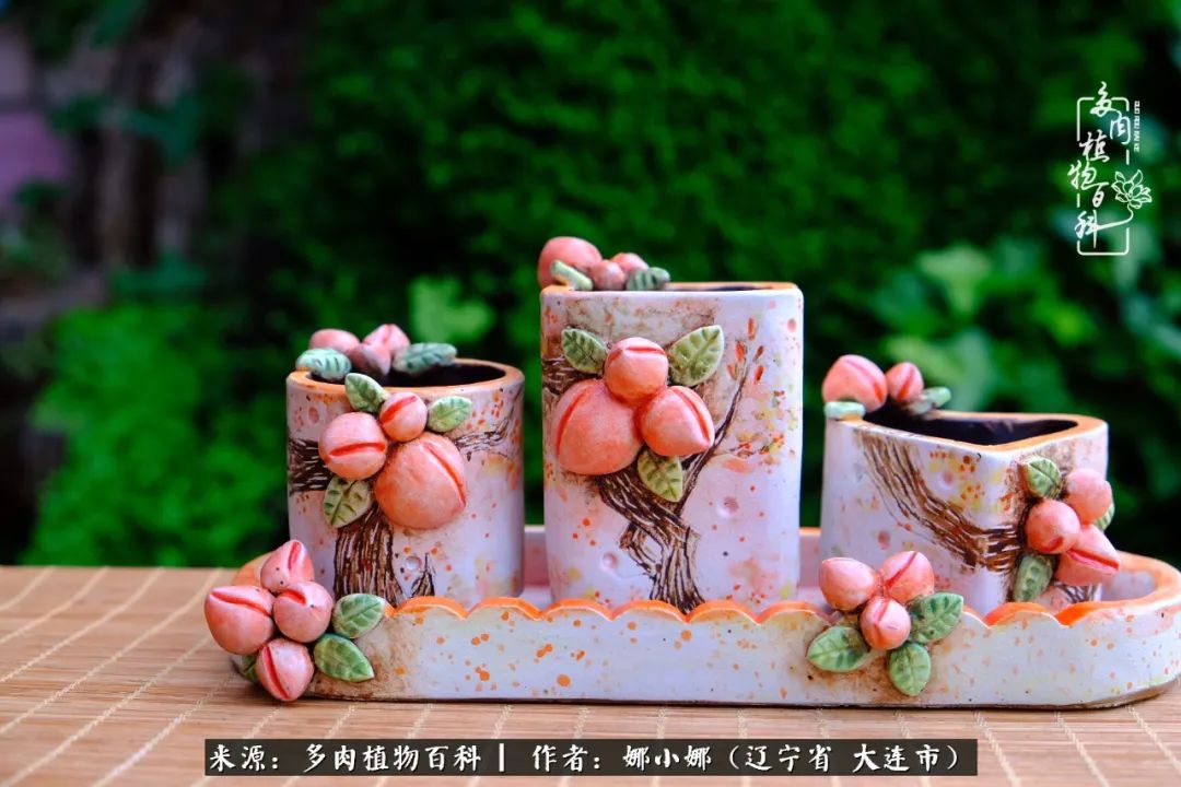 你是盆我是花，你护我周全，我为你绽放