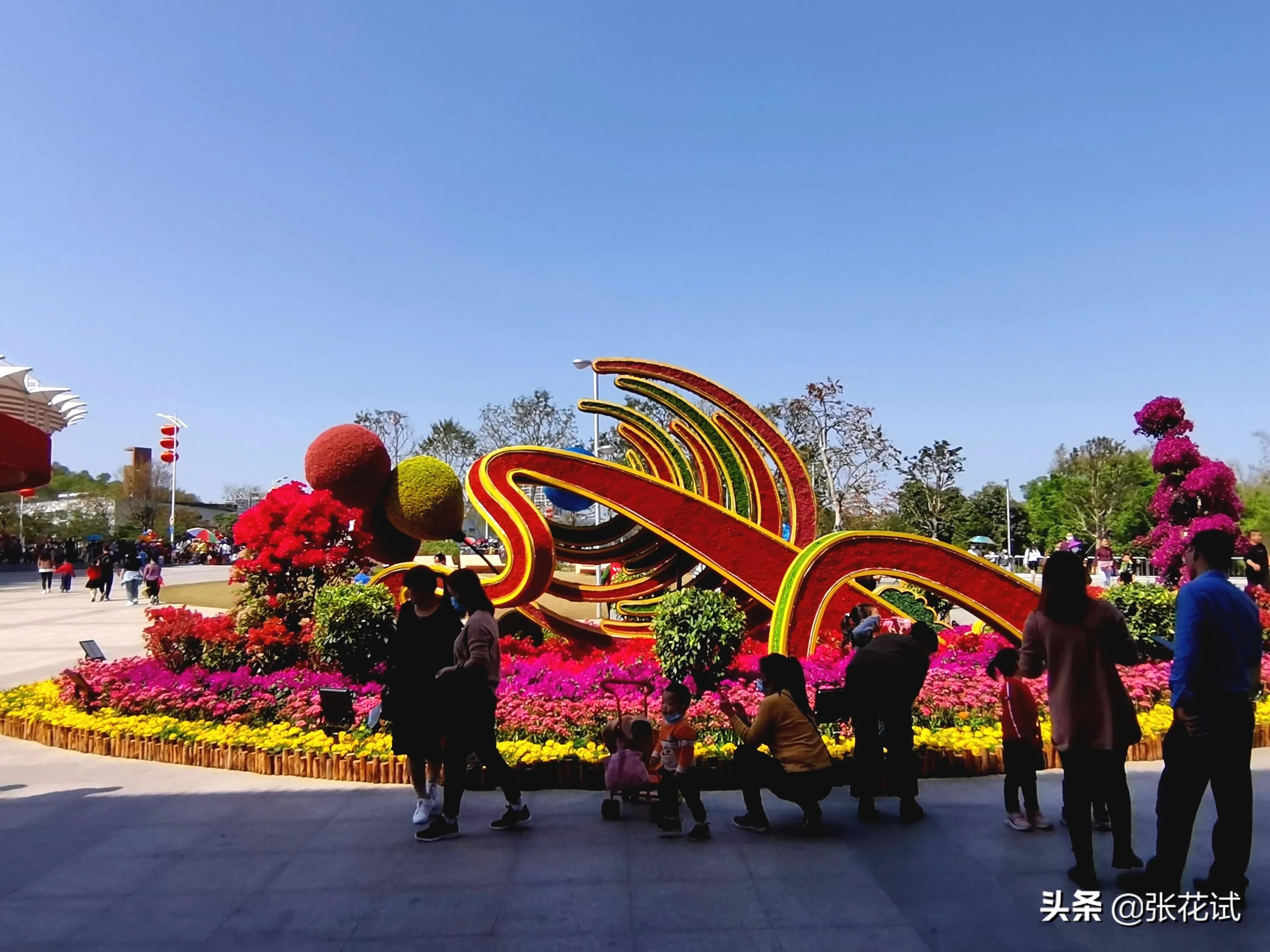 新春踏上深圳光明“虹”地毯，牛年红红火火