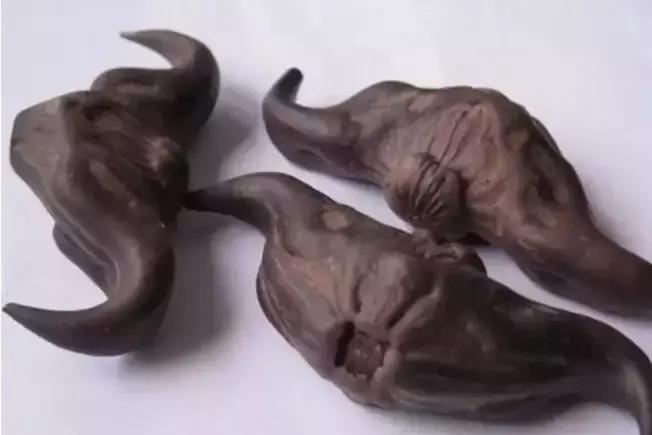 遇到这菜再贵也要吃,遇到这种菜别手软