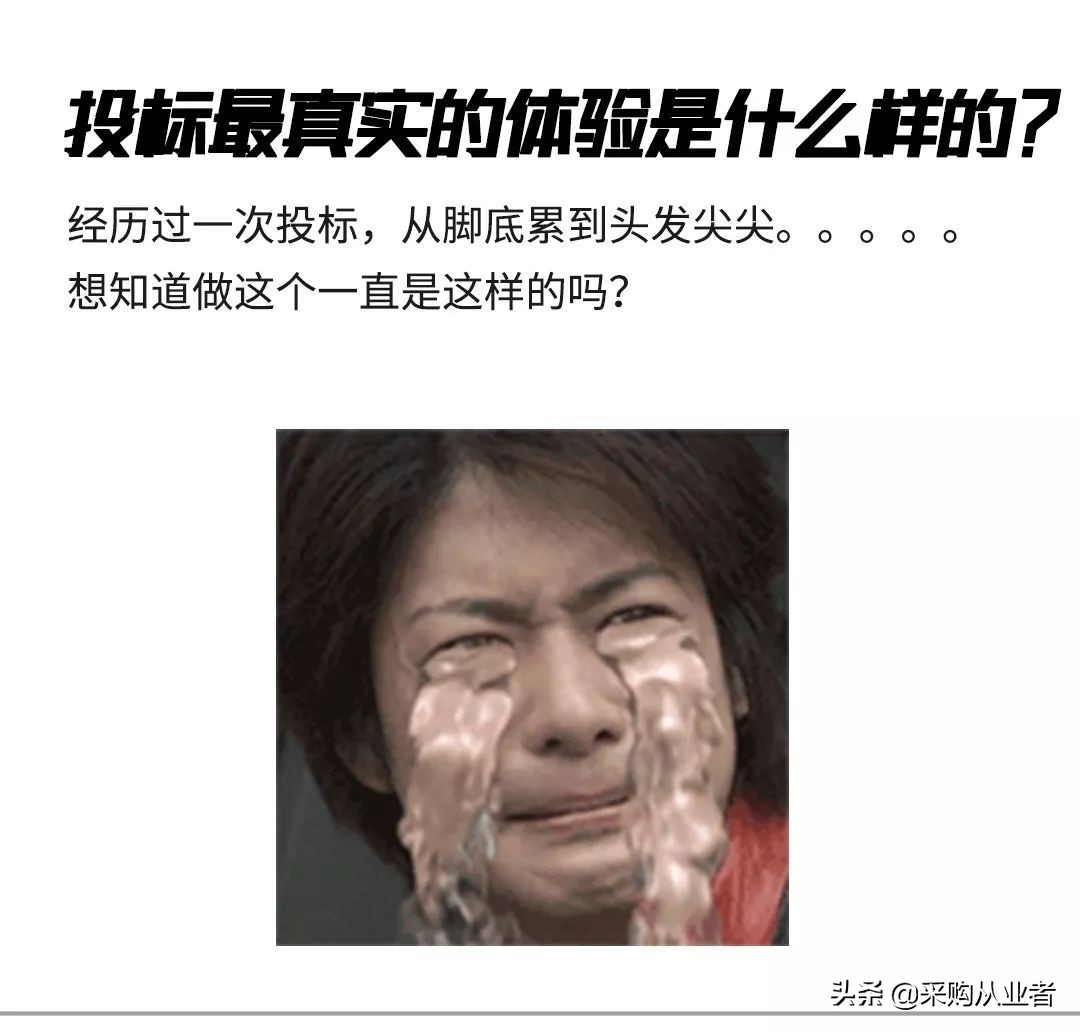 投标代理真实感受,投标工作真实感受