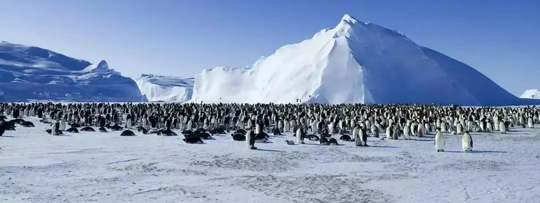 孩子暑期必看的50部神级纪录片,适合孩子和家长一起看的纪录片