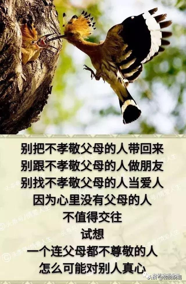 我的家庭相册怎么弄,我的家庭相册全集