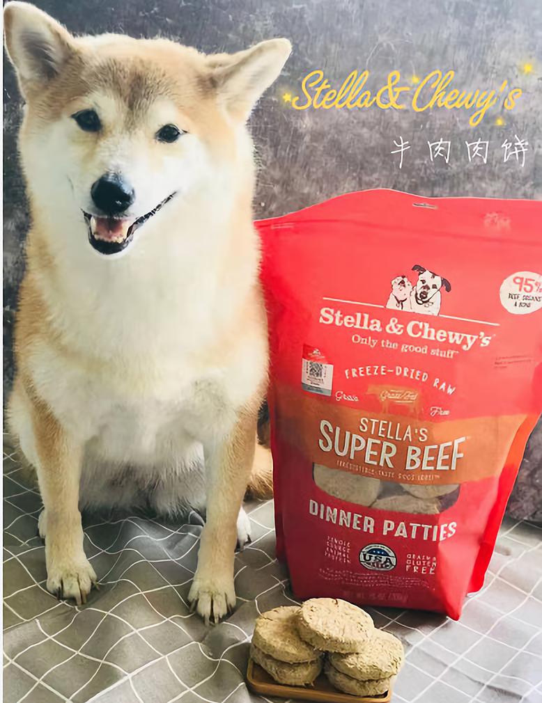 家有狗子,家有狗子视频完整版