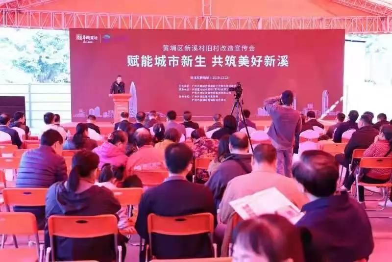 广州黄埔新溪村旧村改造,老黄埔新溪村改造包括金丽园吗