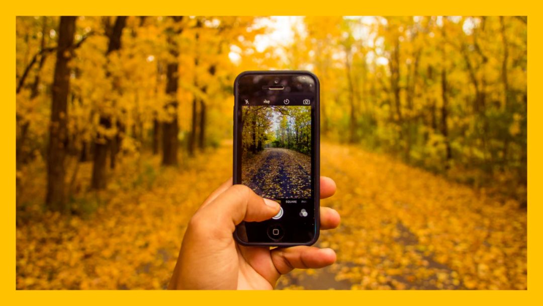 网页很长怎么完整截图,网页又宽又长怎么完整截图