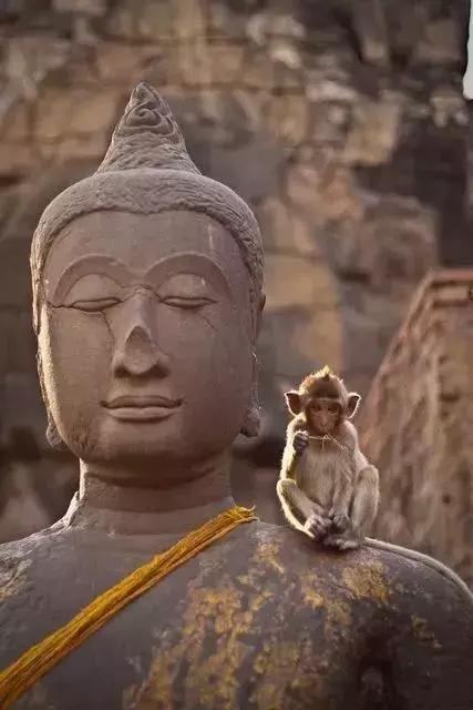 泰国隐秘的角落,泰国清迈古城旅游价格