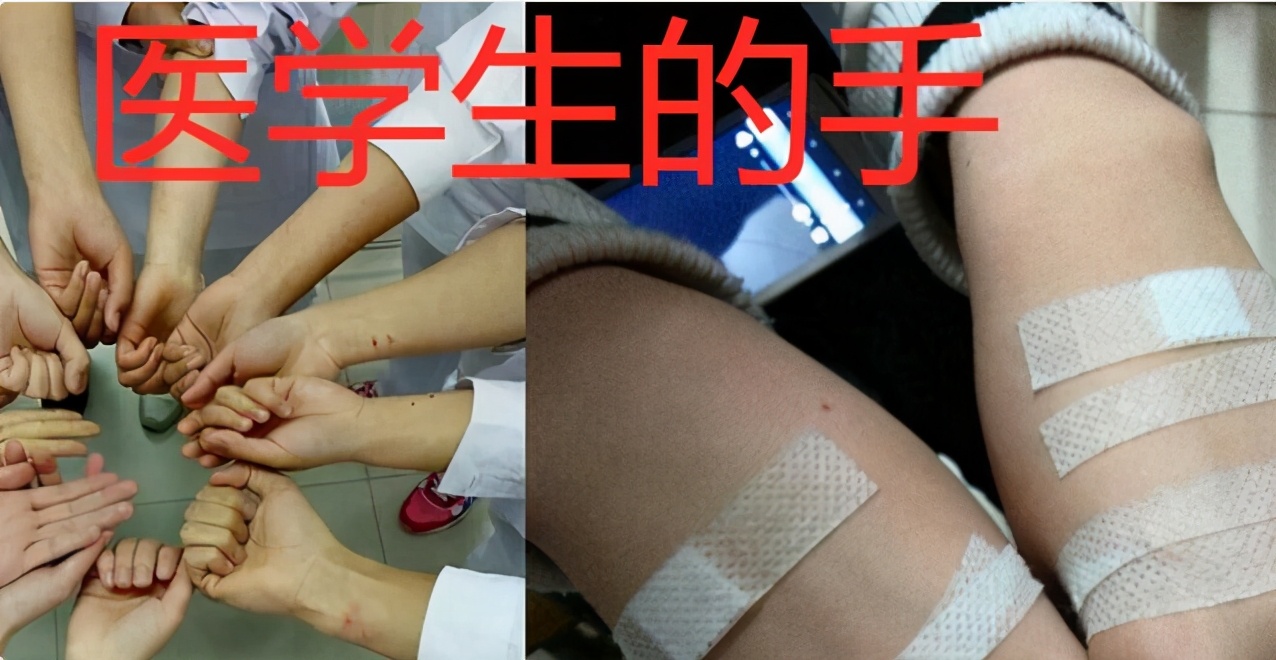 同样是美术生你为何如此优秀,美术生的手和体育生的手