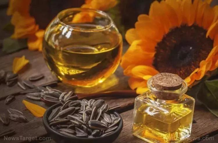 食用油怎么用才会致癌,转基因食用油与癌症