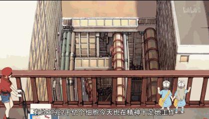 必须再夸一次这种「卖肉片」