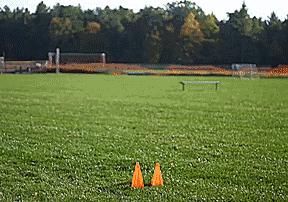 简单有效的防守反击,防守反击的最简单方法