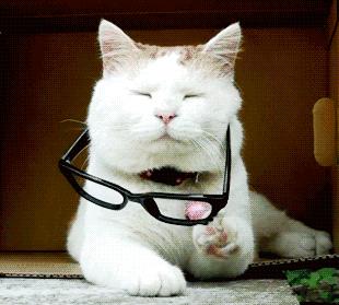 戚薇老态尽显,戚薇和关晓彤站在一起