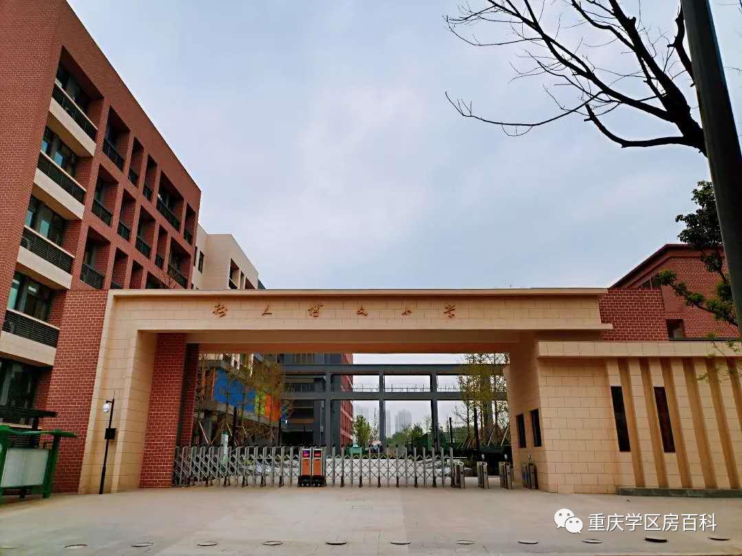 树人小学有初中吗,树人小学总校在哪里