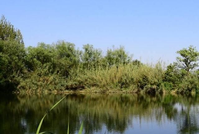 尼康d3200单反相机新手零基础教学,尼康单反相机入门教程图解