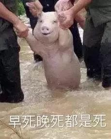 那些奇葩的a股上市公司,这些奇葩公司你经历过吗