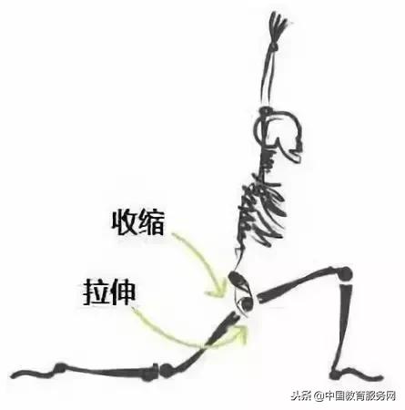 太极拳的胯功练习方法,太极拳脊椎和胯的运动体系