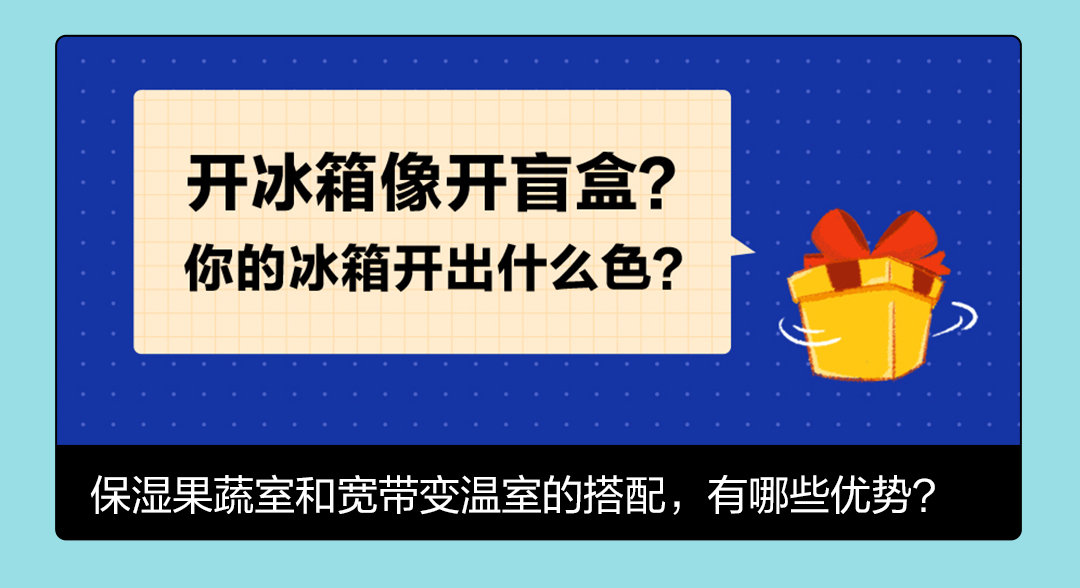 买冰箱问品牌要什么赠品,冰箱的选购技巧和购买渠道