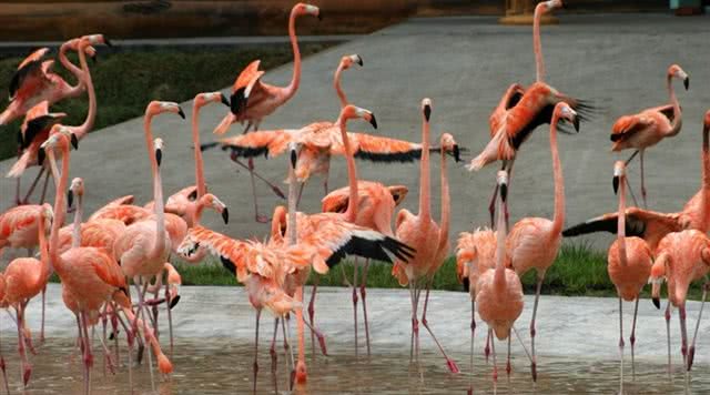 广东省内自然风光旅游景点,广东自然风光最好的景点