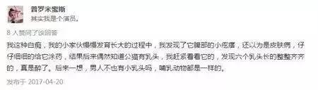 公猫可以有多个乳房吗,公猫也长乳房吗