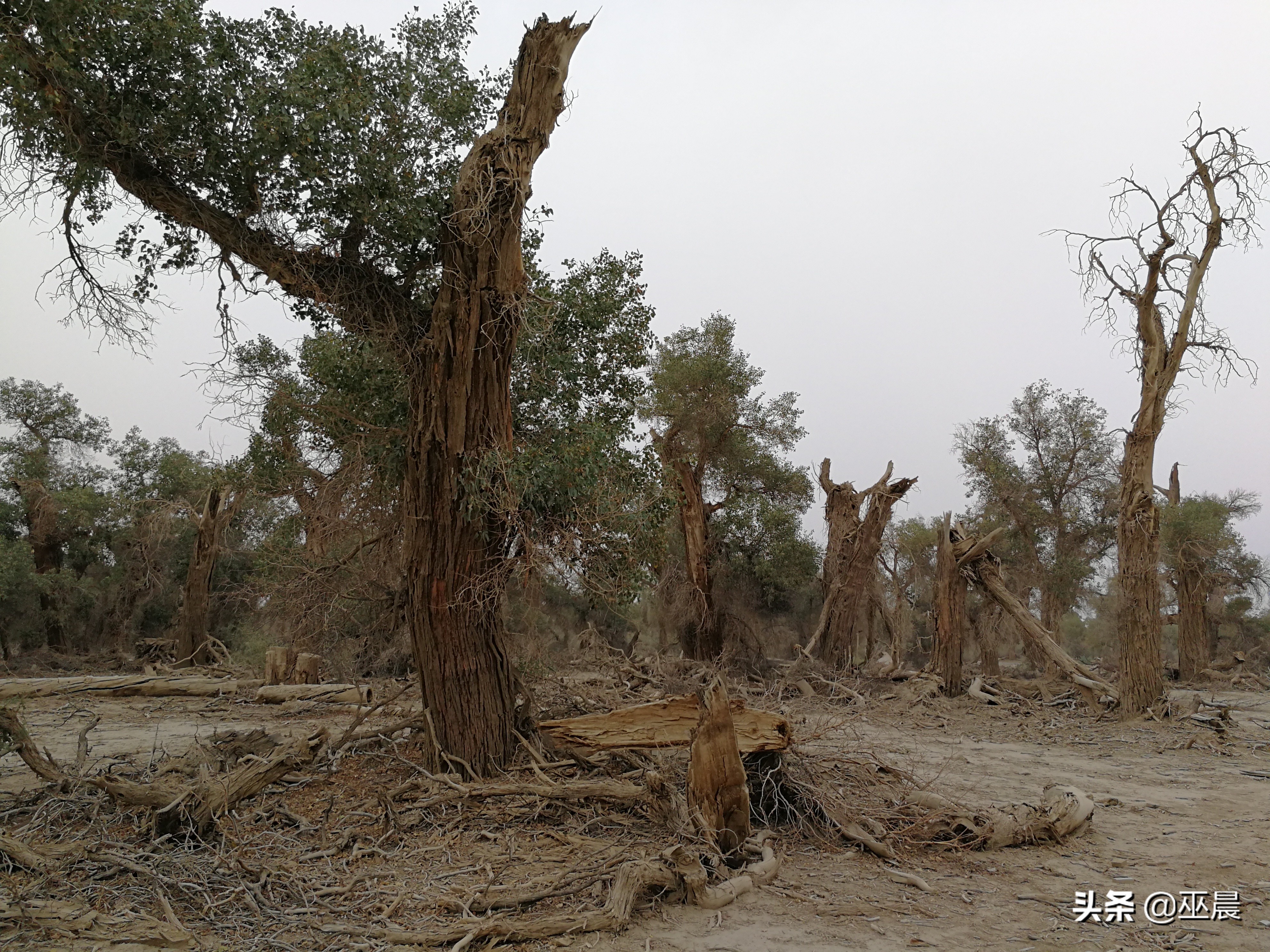 十八天*疆新**自由行（下集，南疆）