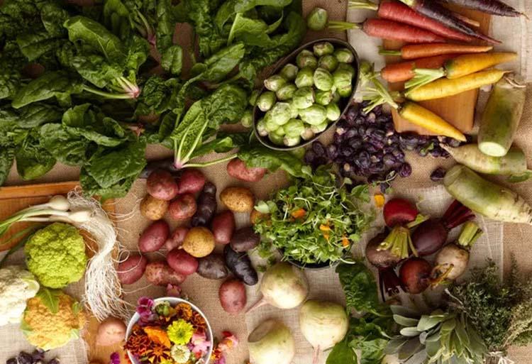 狗粮哪个牌子质量好性价比高,国产狗粮哪种便宜又性价比高