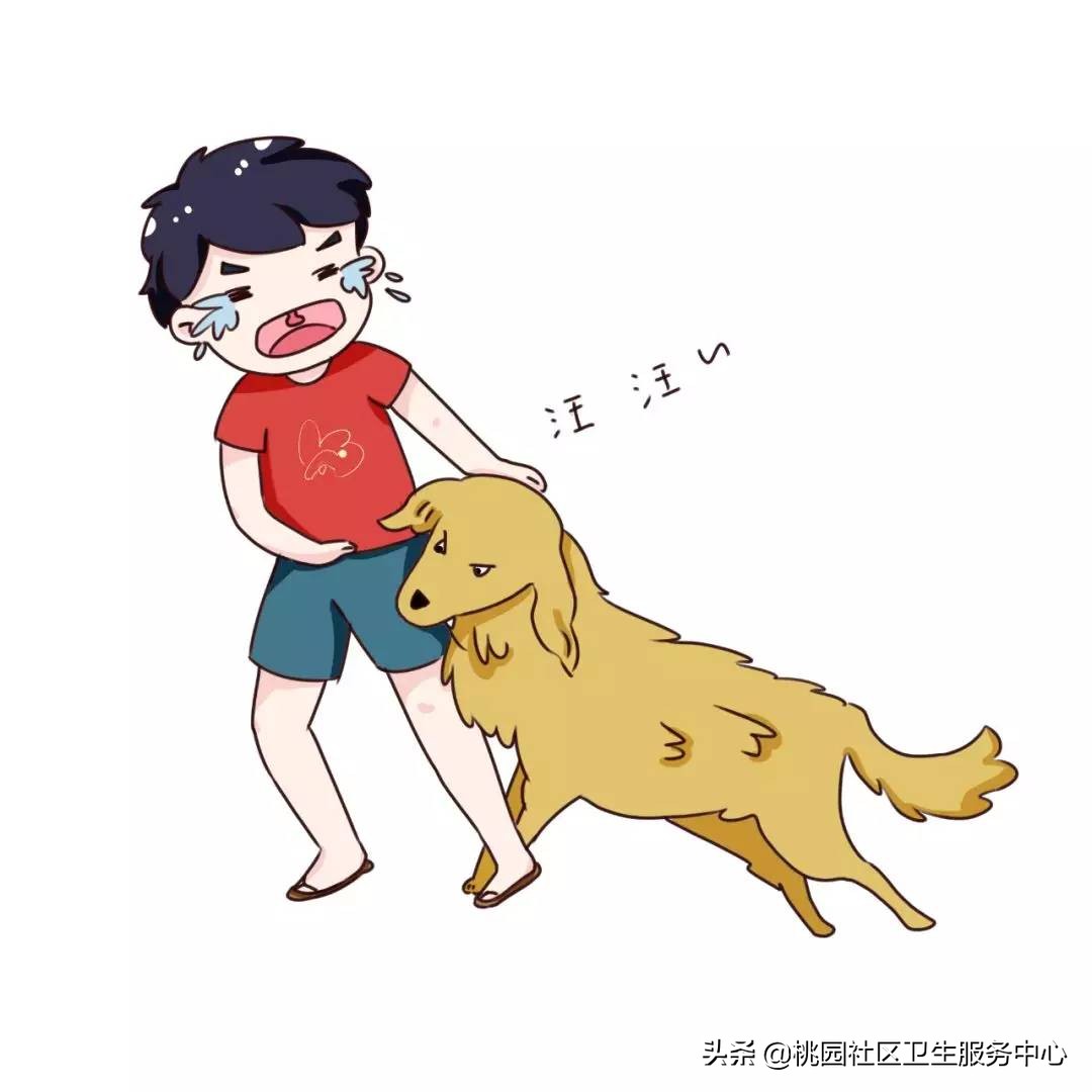 狂犬病真的那么可怕吗,狂犬病犯了真的没法救吗