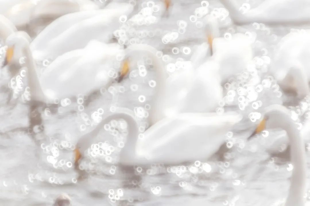 香港第14届全国摄影艺术展,第29届全国摄影艺术展览获奖名单