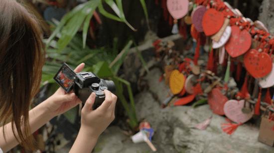 松下g1004k照片,松下g100m43镜头