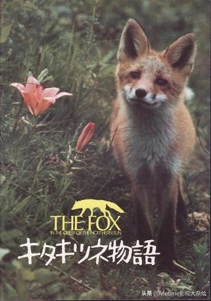 推荐一些很有艺术审美价值的电影,出名的艺术片电影