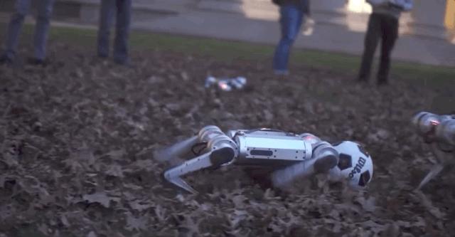 会空翻的机器狗,新一代机器狗