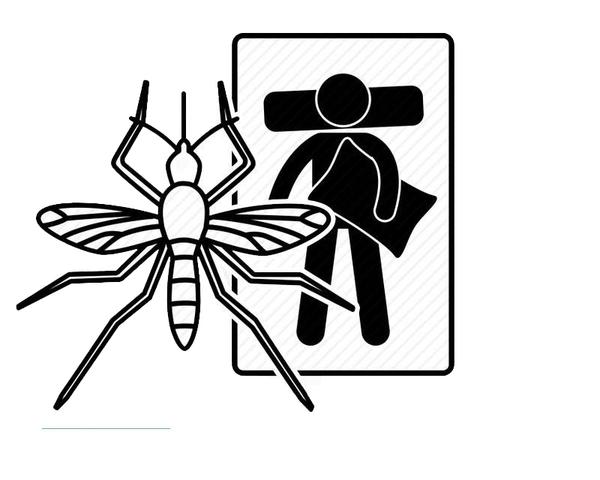 秋天即将来临夏天的蚊子都去哪了,为什么有人说秋天的蚊子最凶猛