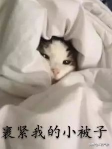 江西大雾天气频繁发生变化,江西大范围降雨来袭大雾相伴