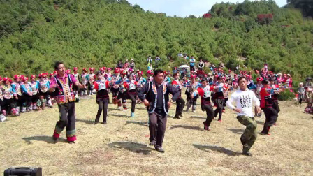 勤劳的精灵,采得百花酿成蜜,让人类享受自然的甘甜