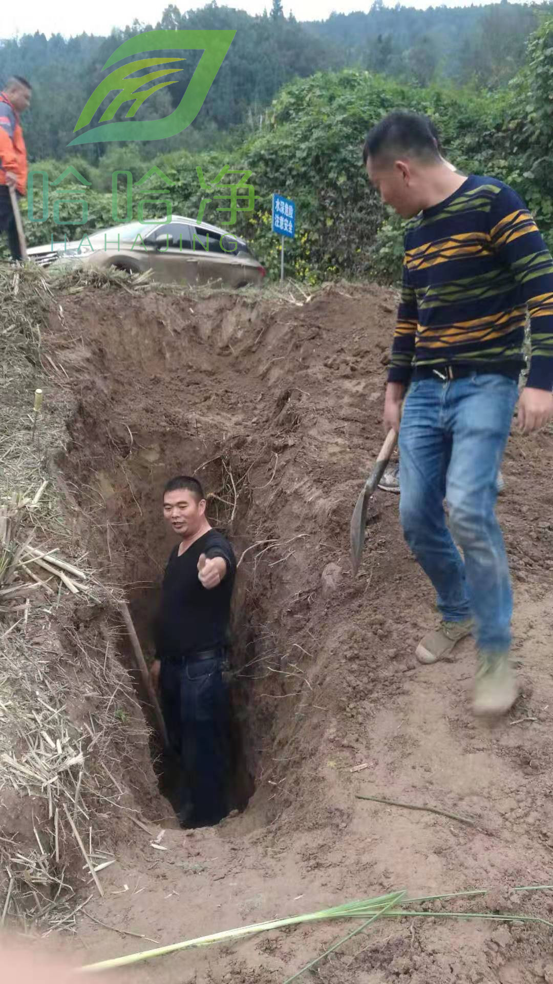 重庆专业灭白蚁公司,重庆正规灭白蚁公司