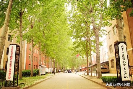 河北东方学院在廊坊市的什么地方,河北东方学院在廊坊吗