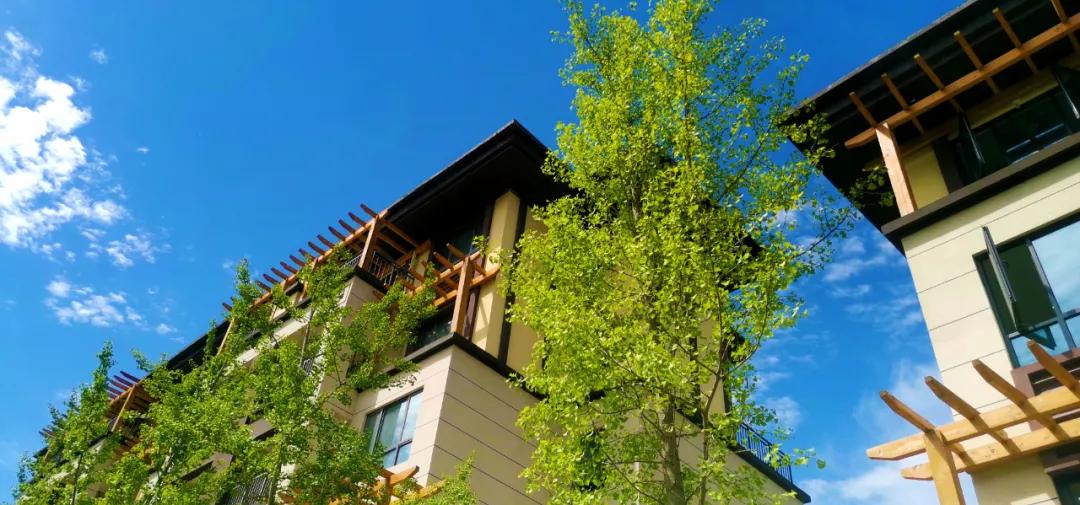 浩创匠心19载百万补贴惠客户19套补贴房限时抢购