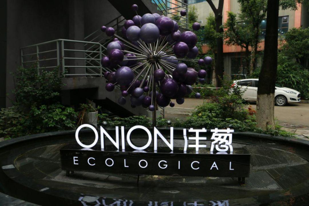 洋葱omall微商,洋葱omall创业计划书