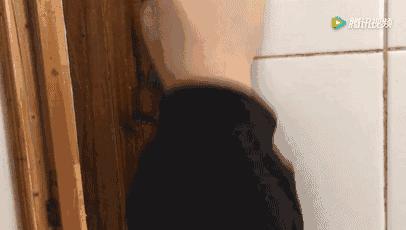 白墙脏了用什么粉刷好,白墙脏了用什么方法变白