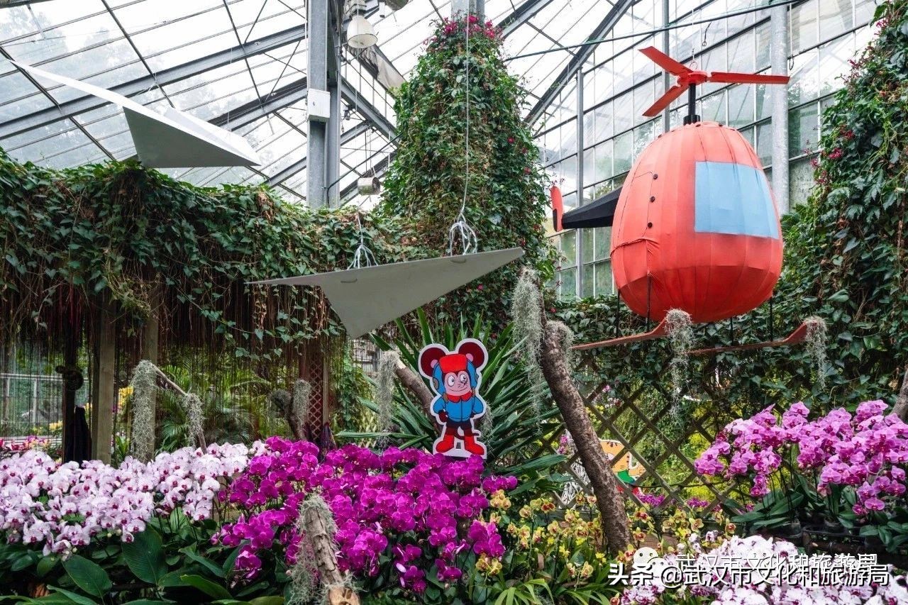 武汉市人的福利,武汉市发放105万张文旅惠民券