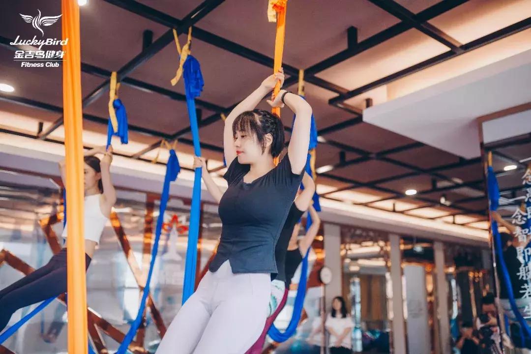 yoga从零开始,yoga的风格是什么