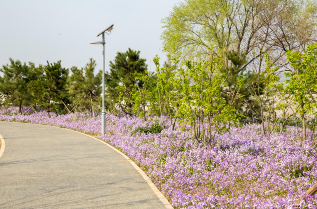 北京东小口城市休闲公园,北京四季公园美景