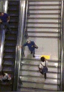 真鳄鱼皮鞋搞笑,鳄鱼皮鞋搞笑视频