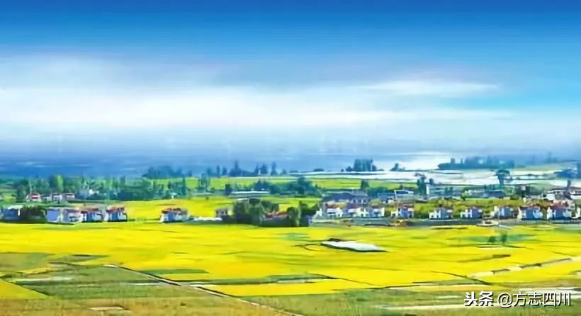 1999年改革开放大事记是什么,1988年四川改革开放大事记