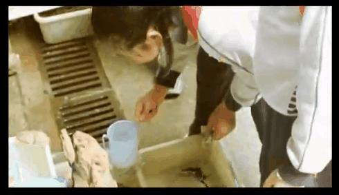 广州曾经最不起眼的老街,广州老的历史建筑街区