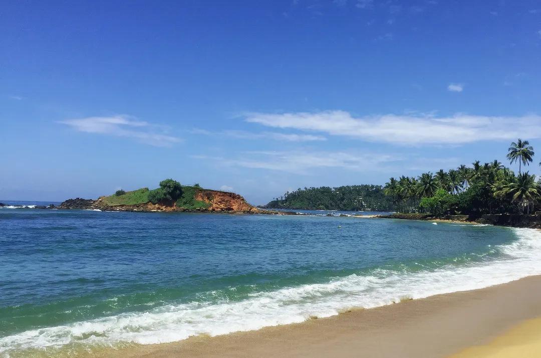 中国康养委员会,中国康养委员会成员名单