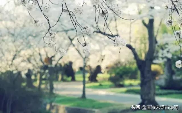 颠覆认知的古诗,颠覆认知脑洞大开的语句