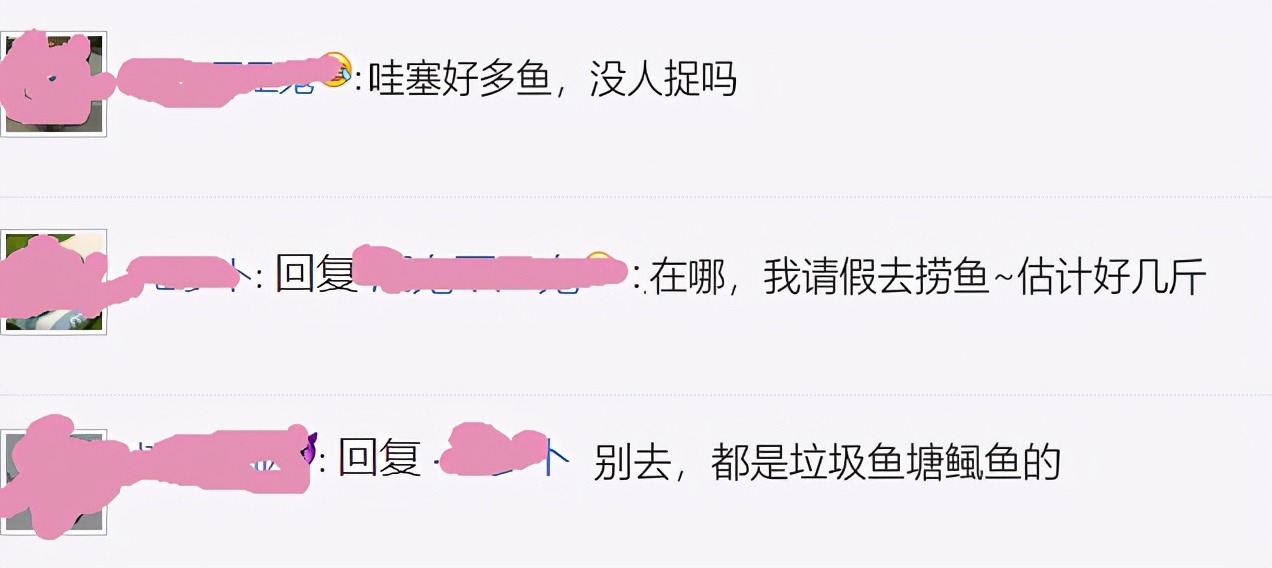 湖里出现大鱼视频,湖里惊现大鱼