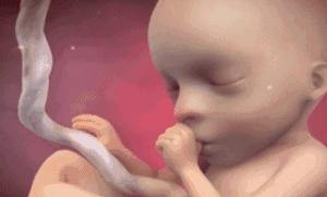 宸︽拠瀛愮湡鐨勫鏄撴垚涓哄ぉ鎵嶅悧,鎯虫敼鎴愬乏鎾囧瓙闅惧悧